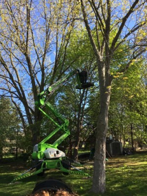 Tree Pruning with lift