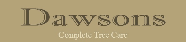 Dawsons Tree Service