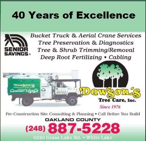 Tree trimming services near me - Palm Beach County Tree Trimming and Tree  Removal Services